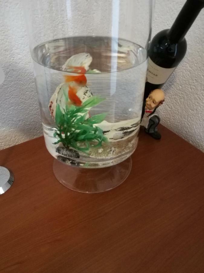 Apartament Radun Split Zewnętrze zdjęcie
